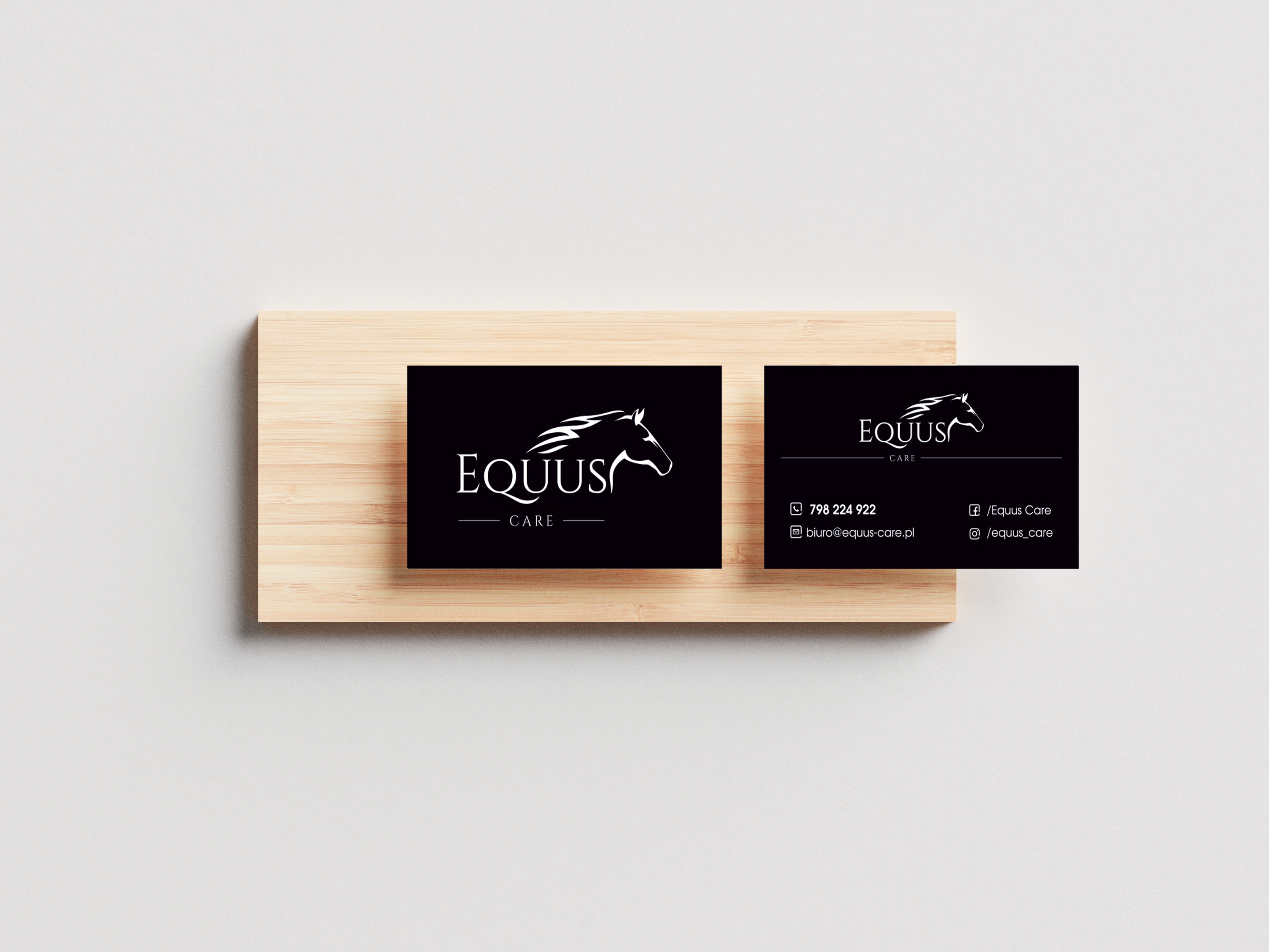 Wizytówka Equus